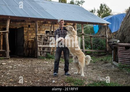 Un uomo gioca con il suo cane nel cortile nel villaggio di Anig, Qusar distretto, Azerbaigian Foto Stock