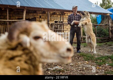 Un uomo gioca con il suo cane nel cortile nel villaggio di Anig, Qusar distretto, Azerbaigian Foto Stock