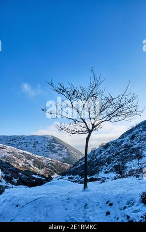 Neve in carding Mill Valley, Chiesa Stretton, Shropshire Foto Stock