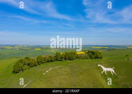 La Chernill White Horse Chalk collina figura vicino Calne, Wiltshire, Inghilterra. Immagine acquisita dal drone. Foto Stock