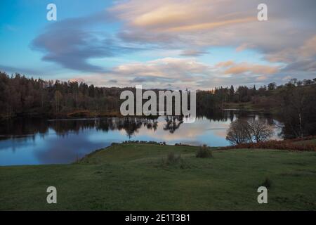 Vista su Tarn Hows al tramonto con le nuvole riflesse nell'acqua, Lake District Foto Stock