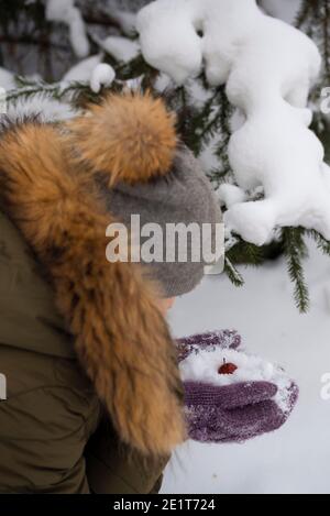 Una ragazza in un cappello invernale tiene la neve e una mela rossa da un albero nel giardino in mittens lilla. Il concetto di stile di vita invernale. Foto Stock