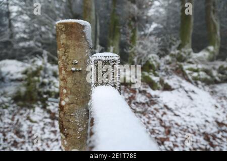 Exmoor, Somerset, Regno Unito. 9 gennaio 2021. Temperature di congelamento su Exmoor creare hoarfrost sugli alberi, creando un gelido paese delle meraviglie. Credit: Natasha Quarmby/Alamy Live News Foto Stock