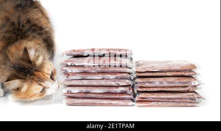 Sniffing Cat su confezioni di carne cruda congelata. Pollo sinistro, tacchino destro compreso la schiena, i colli, i fegati e i cuori. Concetto di dieta per alimenti crudi per animali domestici, gatto Foto Stock