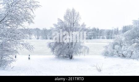 Paesaggio invernale a Mosca, Russia. Vista panoramica del ghiacciato fiume Moskva durante la nevicata, panorama del parco cittadino sotto la neve, paesaggio tradizionale russo. Foto Stock