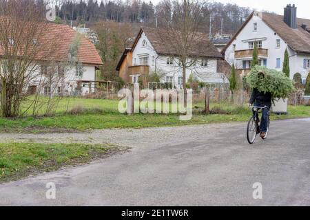 Shopping dell'albero di Natale in bicicletta. Fare tutto in bicicletta senza spensierare. Concetto per la protezione ambientale e per Natale. Foto Stock