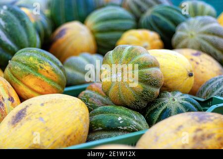 meloni raccolti in scatole di plastica nel negozio di alimentari Foto Stock