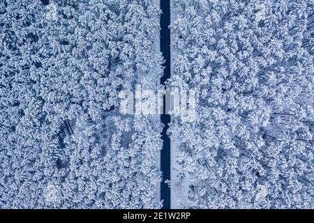 Vista aerea della strada asfaltata nera attraverso la foresta innevata, Polonia Foto Stock