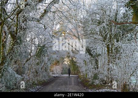 Fackenden giù, a Kent, vicino a Sevenoaks, in neve e gelo nel gennaio 2021 nel tardo pomeriggio. Alberi ghiacciati, viste nebbie, rami ghiacciati, strada ghiacciata Foto Stock