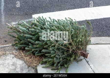 Albero di Natale al marciapiede per il ritiro del cestino Foto Stock