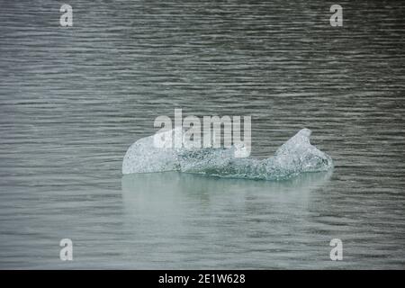 Residui frammentati e fusori di grandi iceberg calvati da Glacier Grey, si fondono nelle acque del Lago Grey, Torres del Paine, Patagonia, Cile Foto Stock