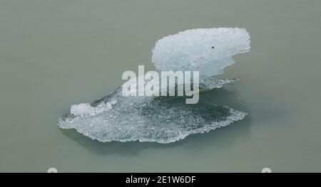 Residui frammentati e fusori di grandi iceberg calvati da Glacier Grey, si fondono nelle acque del Lago Grey, Torres del Paine, Patagonia, Cile Foto Stock