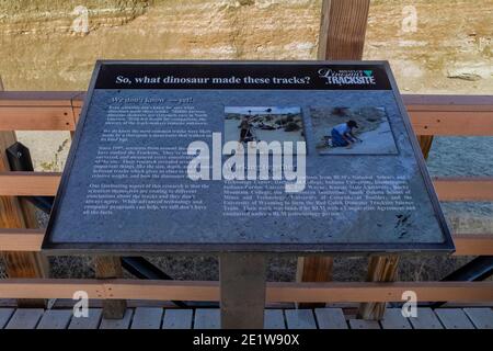 Segno interpretativo al Red Gulch Dinosaur Tracksite sulla terra di BLM vicino Greybull e Shell, Wyoming, USA Foto Stock