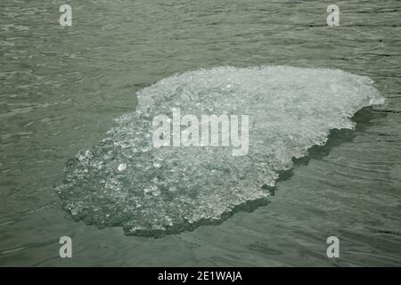 Residui frammentati e fusori di grandi iceberg calvati da Glacier Grey, si fondono nelle acque del Lago Grey, Torres del Paine, Patagonia, Cile Foto Stock