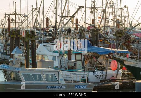 Barche da pesca e yacht imballati nel porto turistico del molo di Steveston, BC, Canada. Foto Stock