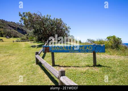 Bangalley Head e la riserva di Bangalley tra Whale Beach e Avalon Beach a Sydney, parte del percorso bicentenario della passeggiata costiera lungo le spiagge di Sydney Foto Stock