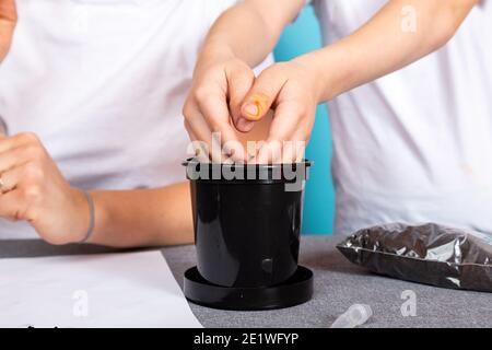 Primo piano di un ragazzo che fa buchi nel terreno e allentando il terreno per piantare un seme e coltivare una pianta domestica su un tavolo contro uno sfondo blu. Il Foto Stock