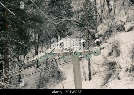 Vecchio palo di potere in legno nella foresta coperta di neve Foto Stock