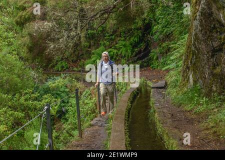 Wanderweg, Rabacal-Tal, Zentralgebirge, Madeira, Portogallo Foto Stock