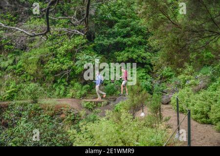 Wanderweg, Rabacal-Tal, Zentralgebirge, Madeira, Portogallo Foto Stock