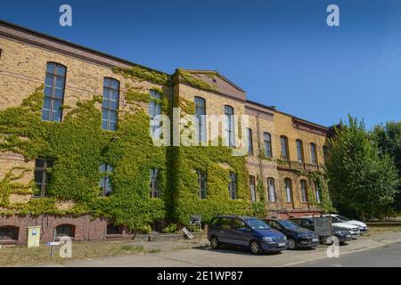 Haus 7, Bezirksamt Pankow, Froebelstrasse, Prenzlauer Berg, Pankow, Berlin, Deutschland Foto Stock