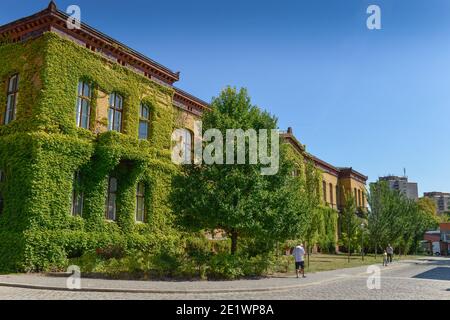 Haus 5, Bezirksamt Pankow, Froebelstrasse, Prenzlauer Berg, Pankow, Berlin, Deutschland Foto Stock