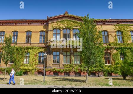 Haus 5, Bezirksamt Pankow, Froebelstrasse, Prenzlauer Berg, Pankow, Berlin, Deutschland Foto Stock