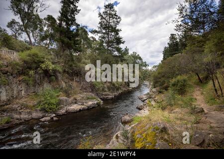 Canyon Walk, un sentiero escursionistico in Bright, Victoria, Australia Foto Stock