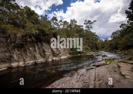 Canyon Walk, un sentiero escursionistico in Bright, Victoria, Australia Foto Stock