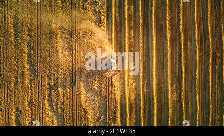 Trebbiatrice che raccoglie il grano da una prospettiva aerea dall'alto verso il basso in Lituania. Foto Stock