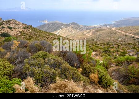 Vegetazione montagnosa sulla costa settentrionale dell'isola di iOS. CICLADI, Grecia Foto Stock