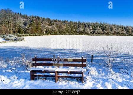 DAVA WAY O SENTIERO MORAY SCOZIA NEVE COPERTA PANCA LUNGO THE WALK A MEMORIAL TO BRUNO CAWLEY Foto Stock