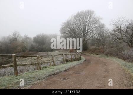 Scena paese inglese gelido in inverno mostrando percorso ghiacciato e. alberi non fogliame Foto Stock