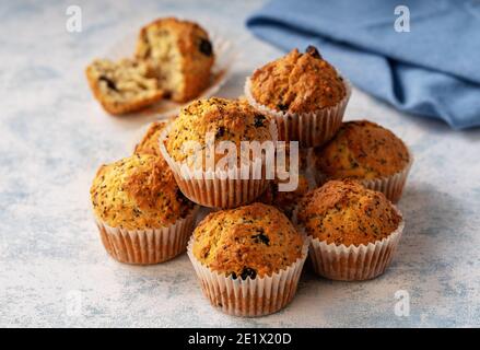 Semi di chia fatti in casa e muffin ai mirtilli rossi. Foto Stock