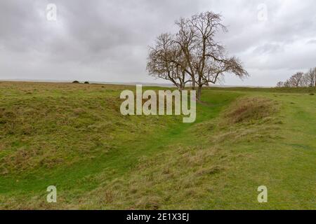 Figsbury Ring, un forte collinare insolitamente progettato dell'Età del ferro, che contiene un recinto più piccolo, forse neolitico, vicino Salisbury, Wiltshire, Regno Unito. Foto Stock