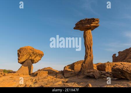 Formazione rocciosa, Hoodoo, Ennedi Plateau, Ciad Foto Stock