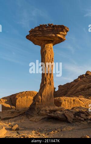 Formazione rocciosa, Hoodoo, Ennedi Plateau, Ciad Foto Stock