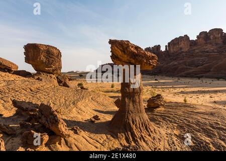 Formazione rocciosa, Hoodoo, Ennedi Plateau, Ciad Foto Stock