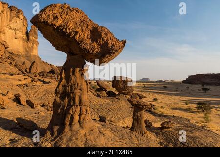 Formazione rocciosa, Hoodoo, Ennedi Plateau, Ciad Foto Stock