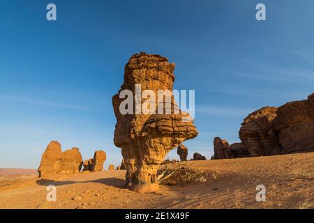 Formazioni rocciose erose e faffurse, altopiano di Ennedi, Ciad Foto Stock