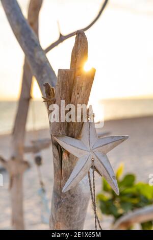 decorazione artigianale di pezzi di legno di drift e, conchiglie di mare che si flettano nel vento con un terreno posteriore sfocato Foto Stock