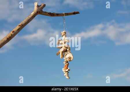 decorazione artigianale di pezzi di legno di drift e, conchiglie di mare che si flettano nel vento con un terreno posteriore sfocato Foto Stock