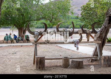 Komodo,Indonesia November11,2019:ranger del parco in attesa di turisti sotto un albero all'interno di Il Parco Nazionale di Komodo Foto Stock