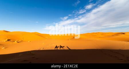(Fuoco selettivo) vista mozzafiato della silhouette di due persone che cavalcano cammelli sulle dune di sabbia a Merzouga, Marocco. Foto Stock