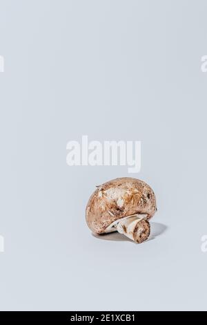 Pulsante a fungo su sfondo bianco Foto Stock