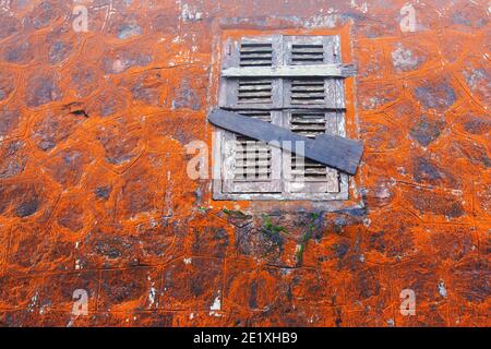 Abstract lichen arancio e muschio che cresce su antiche mura di pietra e finestra di legno del tempio di Wat Sampov, Cambogia. Foto Stock