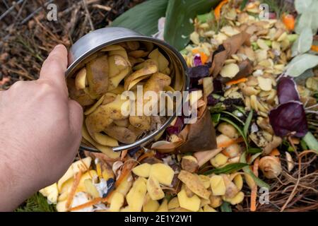 Riciclaggio dei rifiuti di cucina in compostore Foto Stock