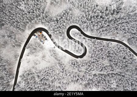 Strada curva a S nella vista aerea della foresta invernale. Vuota strada tortuosa circondata da alti pini. Foto Stock