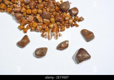 Calcoli biliari e vaso di campione, pietre da sola operazione su sfondo bianco. Foto Stock