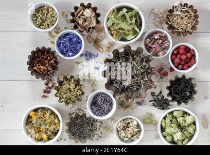 Assortimento di erbe secche: Fiori, radici e semi, piatti sulla tavola, lavanda, camomilla, lime, rosa, fiore di mais, dolce di mais, timo e altri Foto Stock